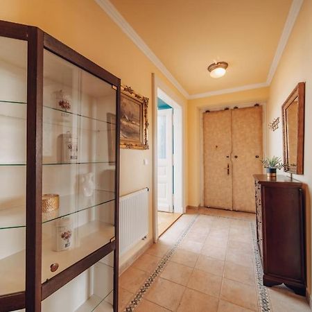 Magnificent Historical Penthouse In The Heart Of Pragueアパートメント エクステリア 写真