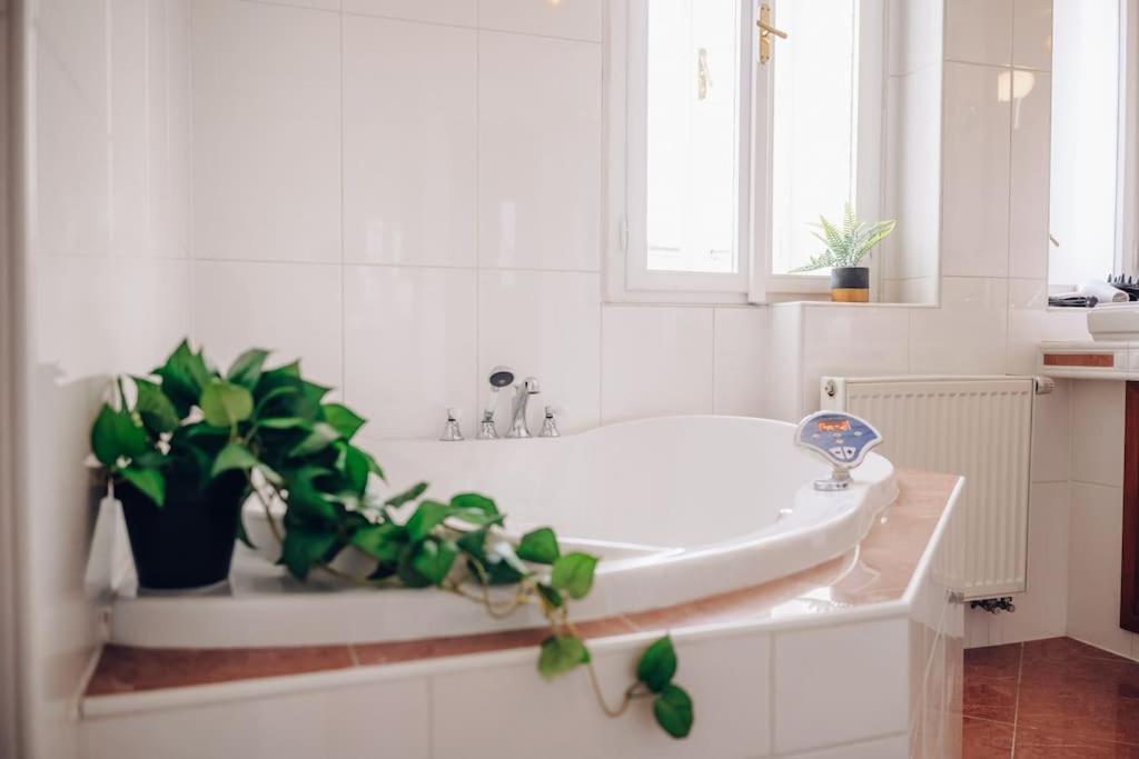 Magnificent Historical Penthouse In The Heart Of Pragueアパートメント エクステリア 写真