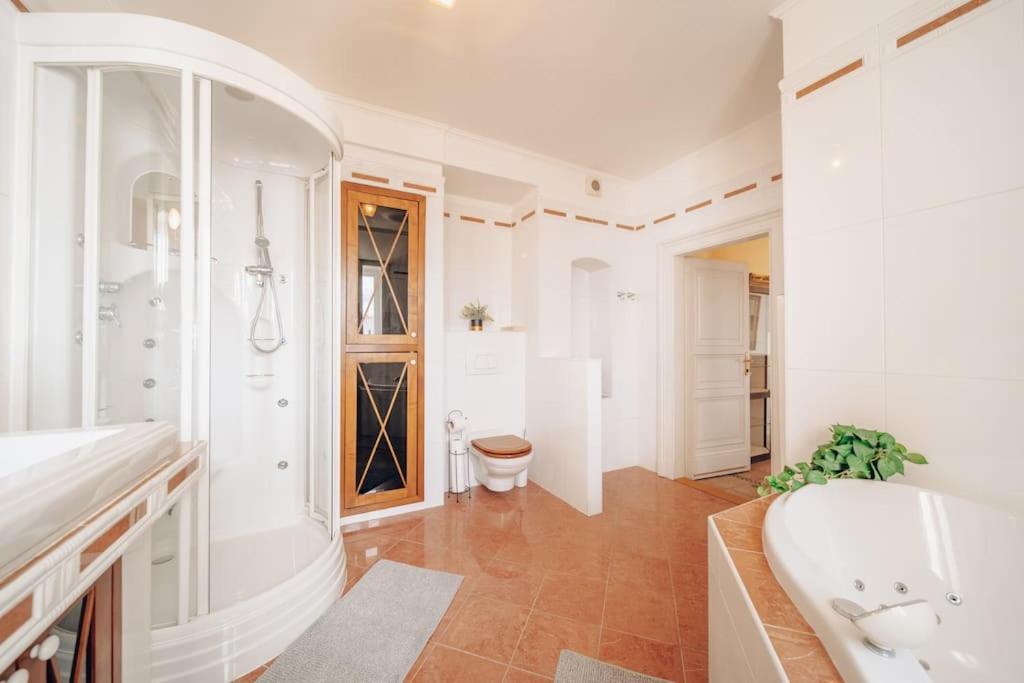 Magnificent Historical Penthouse In The Heart Of Pragueアパートメント エクステリア 写真